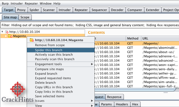 Burp Suite Pro Torrent free download 2025