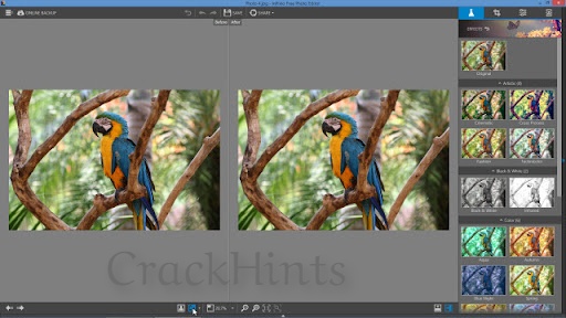 InPixio Photo Editor Serial Number 2025