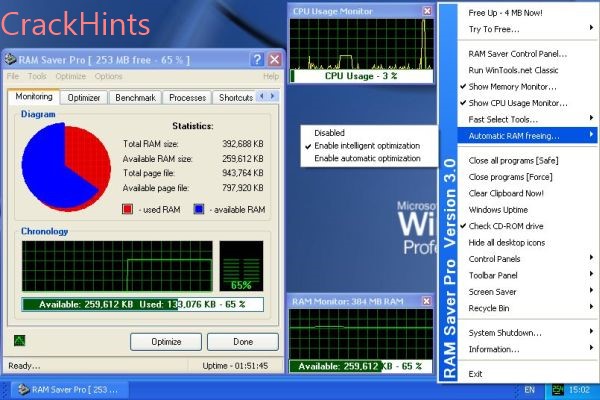 RAM Saver Professional 2025