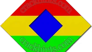 BWMeter Full Version Logo